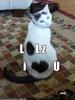 shown lol kitteh luv