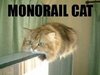 Monocat