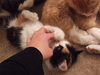 A little tickle