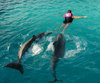 Swimmin with the Dolphins 