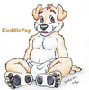 kuddle pup