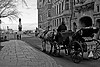 A carriage ride in Quebec City