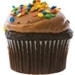 A Nice Chocolate Cupcake