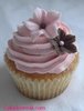 Lemon Cherry Cupcake