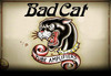 Bad Cat