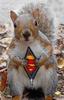 super squirrel