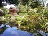 Beautiful Japanese Garden