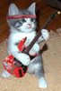 Rocker Kitty