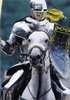 Knight in Shinning Armor