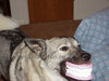 Smile!