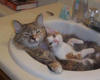 cuddling in the tub
