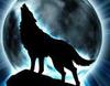 Let Me Howl At My Moon