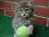 I want to play with u...