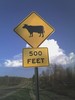 a cattle crossing sign post!