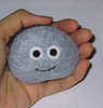 A pet Rock