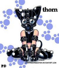Thorn 1990 